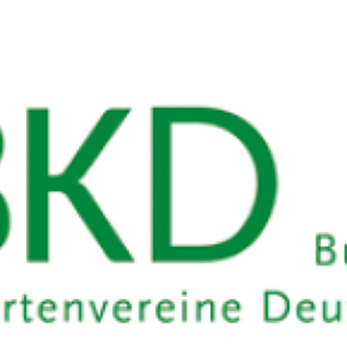 BKD informiert 10/2026