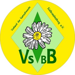 Politik-Talk zum Thema "Zukunft Ehrenamt" in Elsterwerda