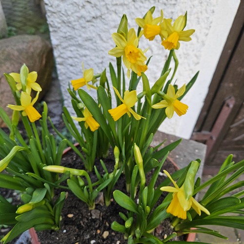 Workshops f&uuml;r Fachberater&nbsp;